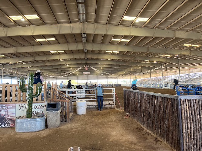 Buckeye Equestrian & Events Center — Barn or Farm in Buckeye, Arizona