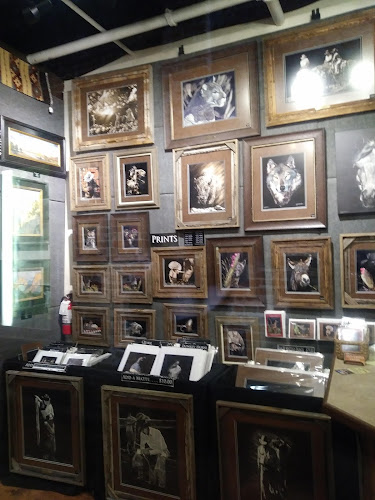 Joseph Robertson Gallery - corporateevents.at