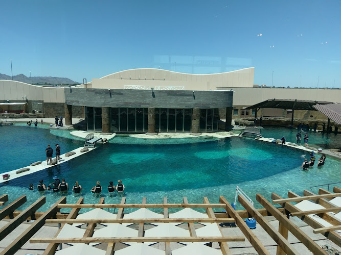 Dolphinaris Arizona - photo