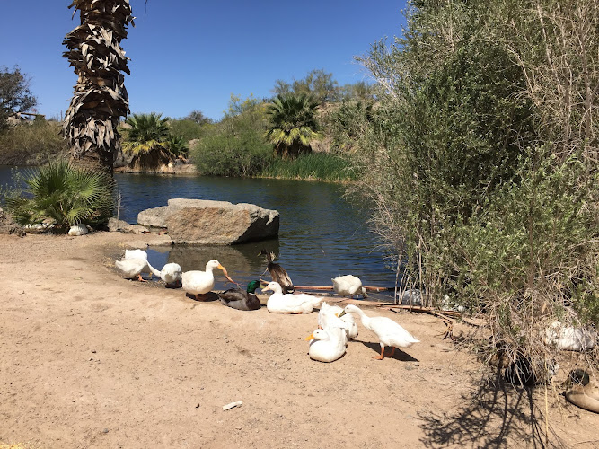 Yuma Conservation Garden - photo
