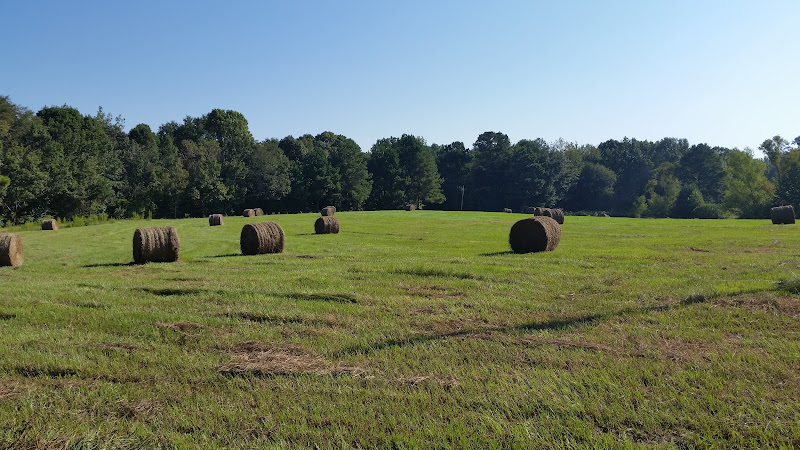 Tyler Farms and Ranch, LLC - corporateevents.at