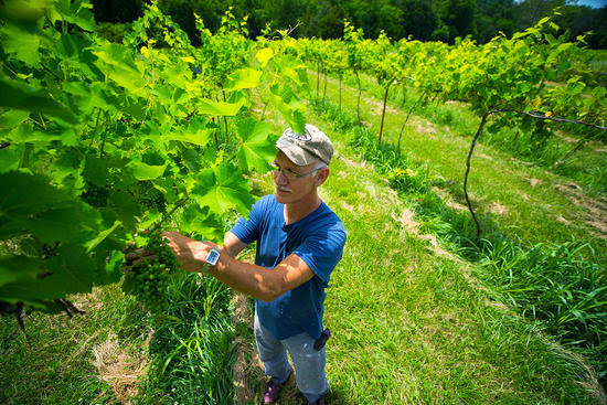 Railway Winery & Vineyards — Winery in Eureka Springs, Arkansas