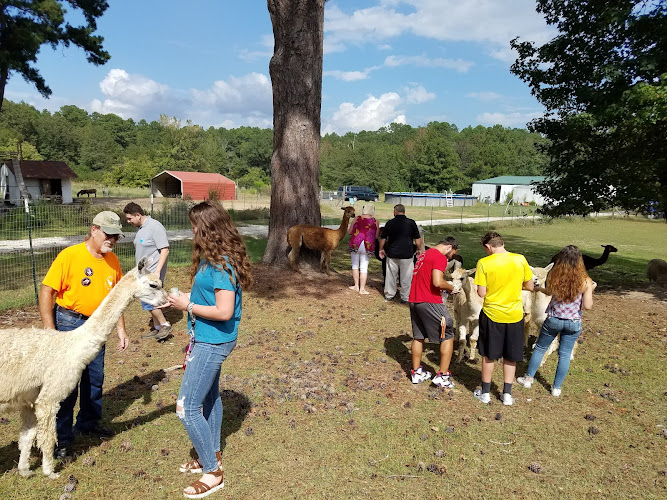 Chez Fur Fiber Farm — Barn or Farm in Malvern, Arkansas