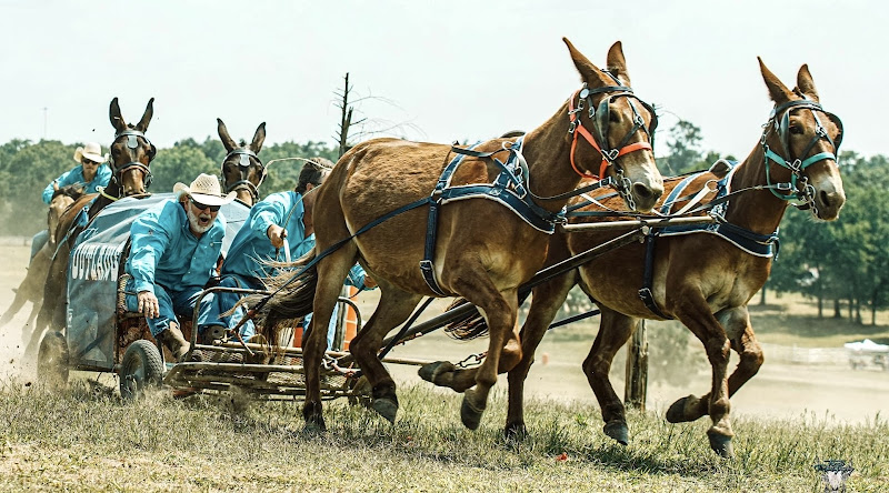 Whiskey Ridge Ranch - corporateevents.at