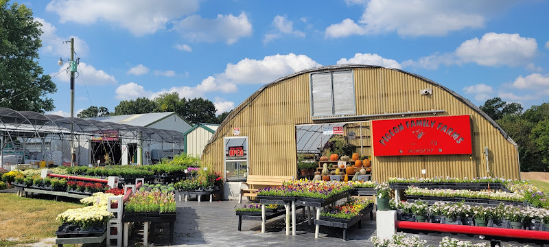 Pigeon Family Farms — Barn or Farm in Siloam Springs, Arkansas