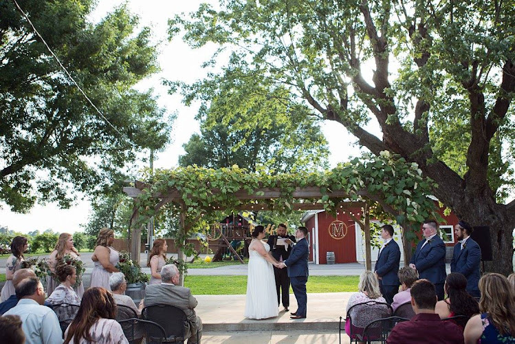 Tontitown Winery — Winery in Springdale, Arkansas