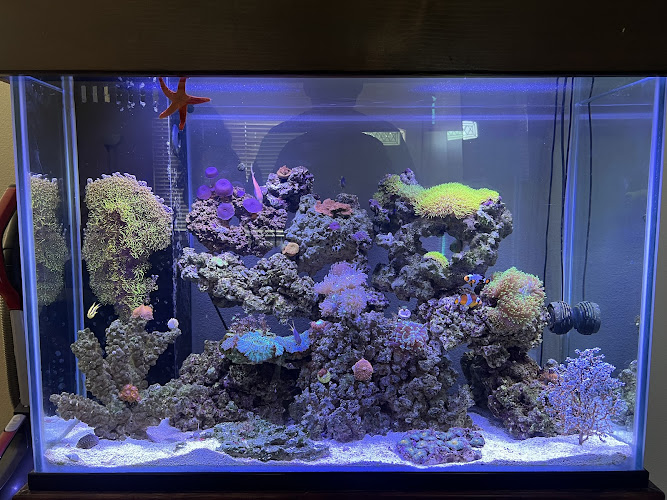 Mk Aquarium Services - corporateevents.at