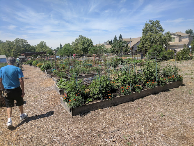 Elk Grove Community Garden - photo