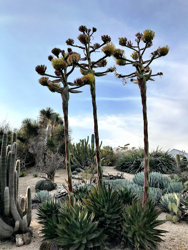 Arboretum - corporateevents.at