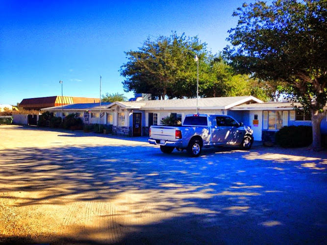 Canine Country Club - photo