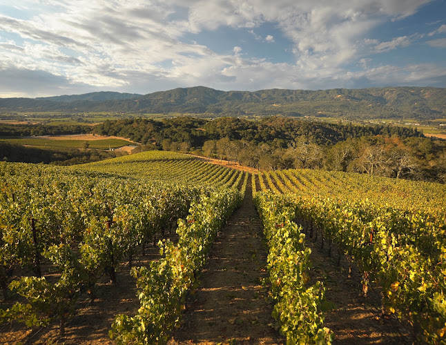 Merryvale Vineyards — Winery in Napa, California