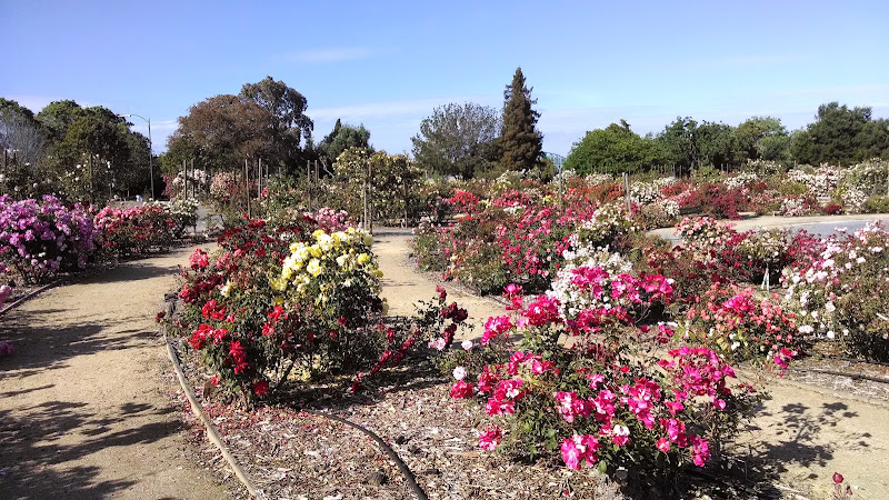 Guadalupe Gardens Heritage Rose Garden — Outdoor Venue in San Jose, California