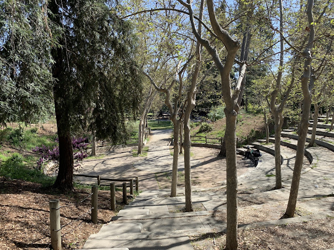 Kelley Park Amphitheater - photo