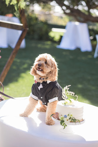 Master Plans Events & Designs - photo