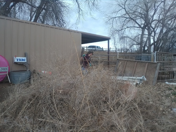 FRRC Arena - photo