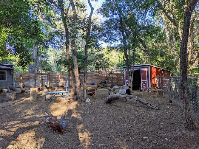 Roost Farms — Barn or Farm in Wheat Ridge, Colorado
