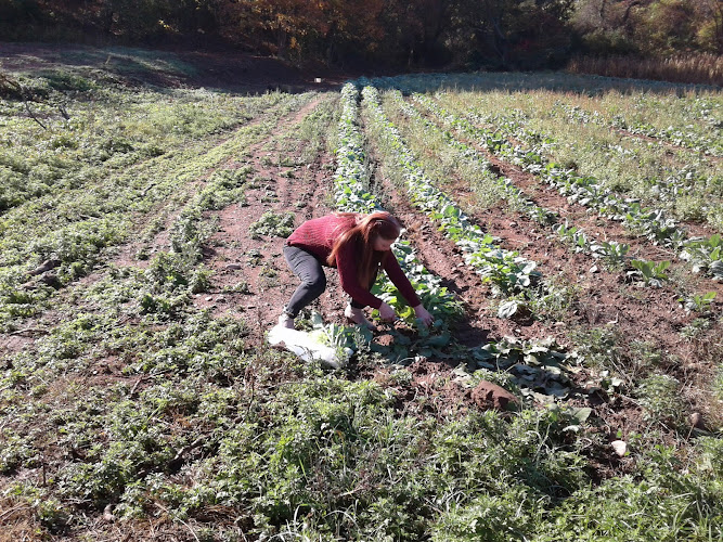 Vignola's Farm - corporateevents.at