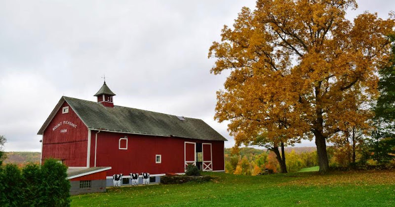 The Inn at Mount Pleasant - photo