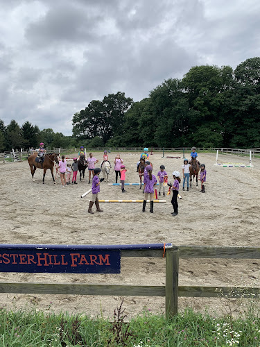 CHESTER HILL FARM - corporateevents.at