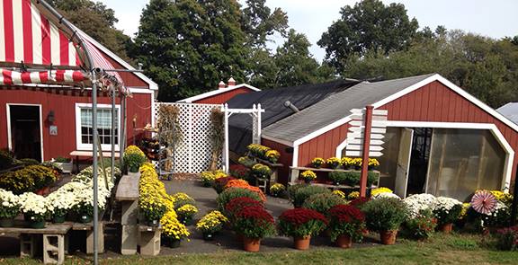 Plasko's Farm Creamery & Cafe — Barn or Farm in Trumbull, Connecticut