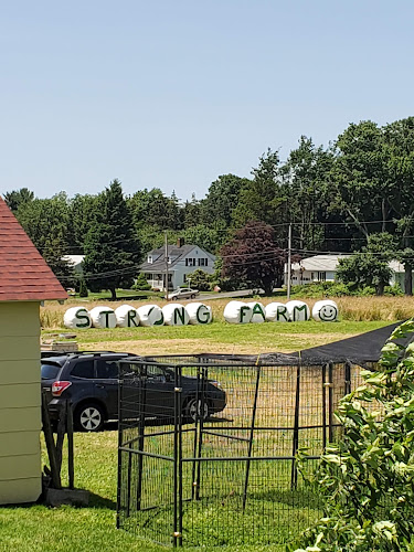 Strong Family Farm - photo