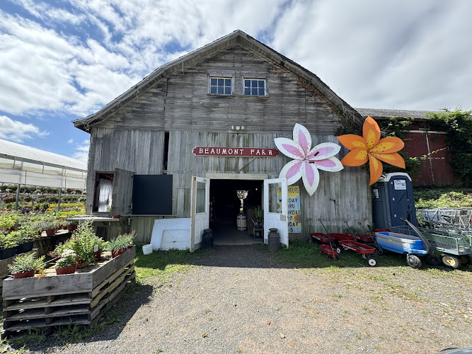 Beaumont Farm - photo