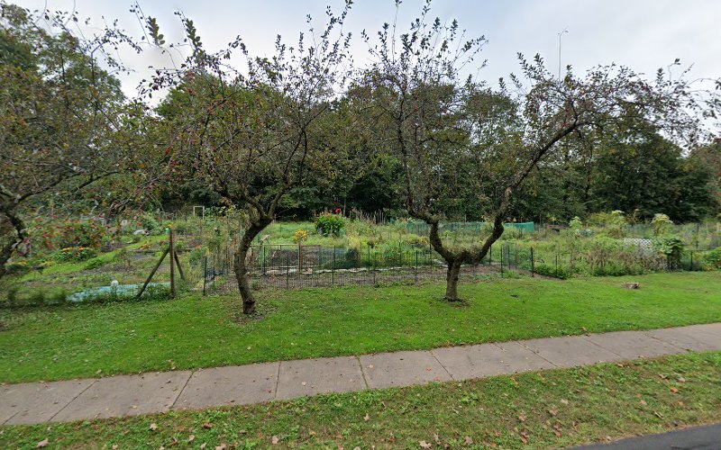 West Hartford community garden - photo