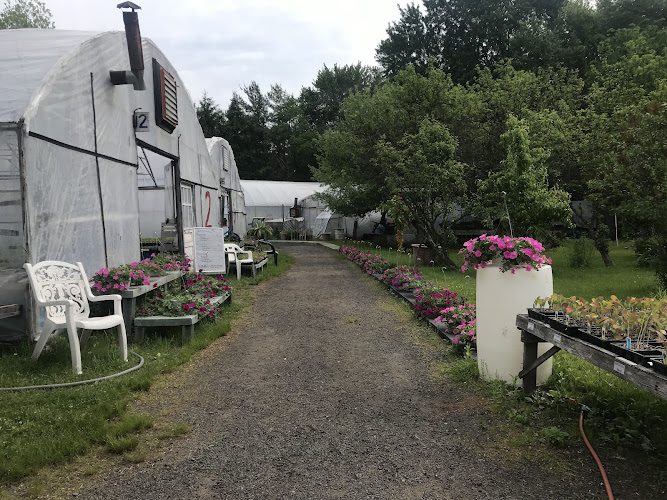 Golden Acres Farms — Barn or Farm in West Haven, Connecticut