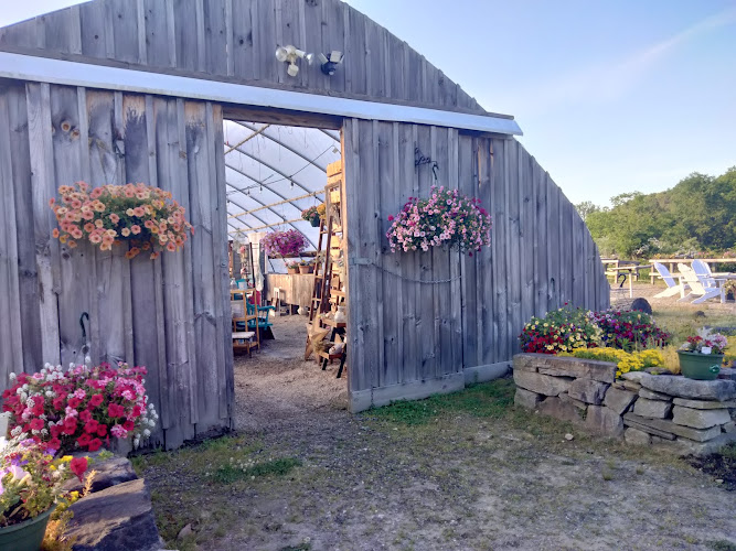 Sweet Hill Farm - photo
