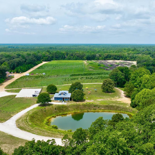 Twin Branch Winery - corporateevents.at