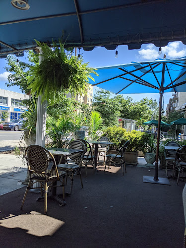 Parthenon | Top/ Most Authentic Greek Cuisine in DC — Restaurant with Private Dining in Chevy Chase, District of Columbia