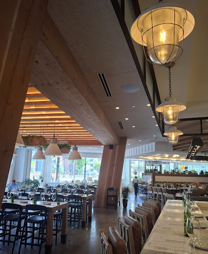 Sixty Vines Foggy Bottom - photo
