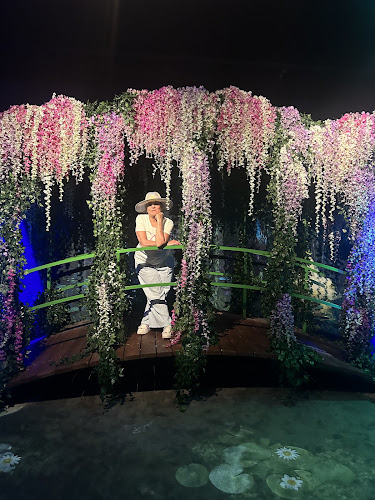 Monet: The Immersive Experience - Washington DC - photo
