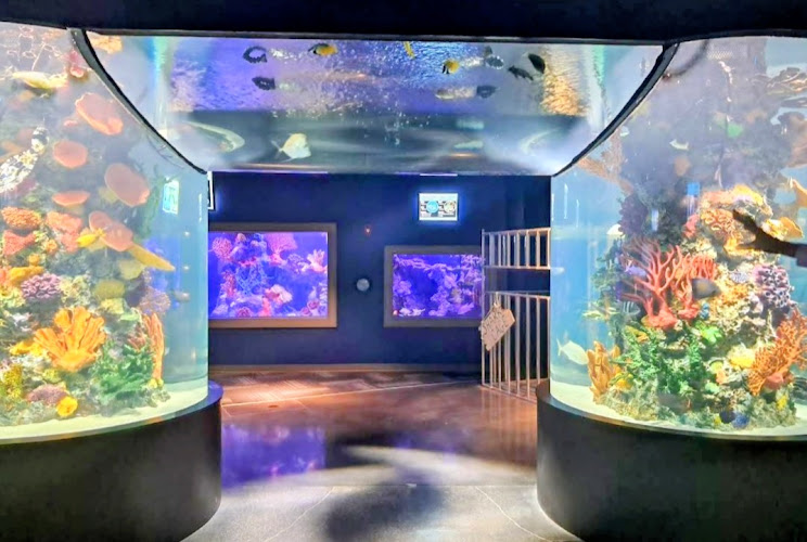 Daytona Aquarium & Rainforest Adventure - corporateevents.at