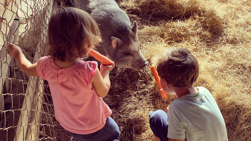The Little Farm - corporateevents.at
