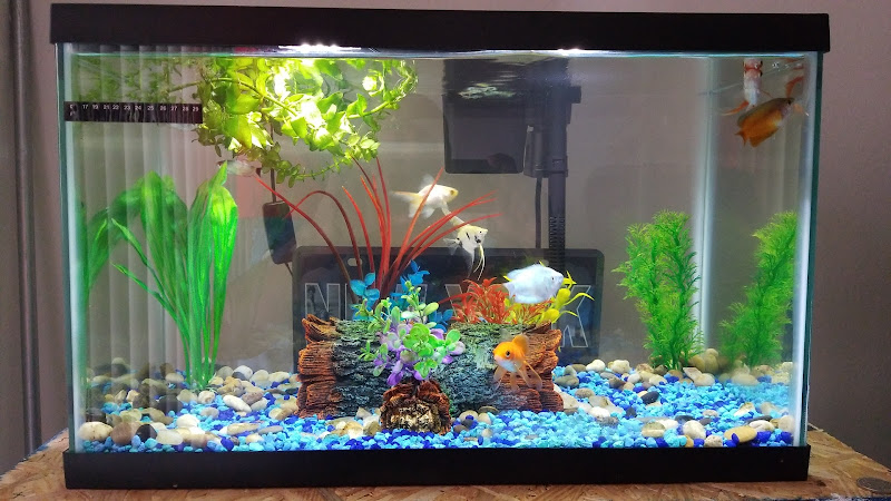 Neighborhood Fish Farm - corporateevents.at