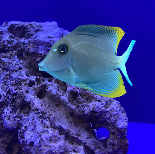 High Tide Aquatics - corporateevents.at