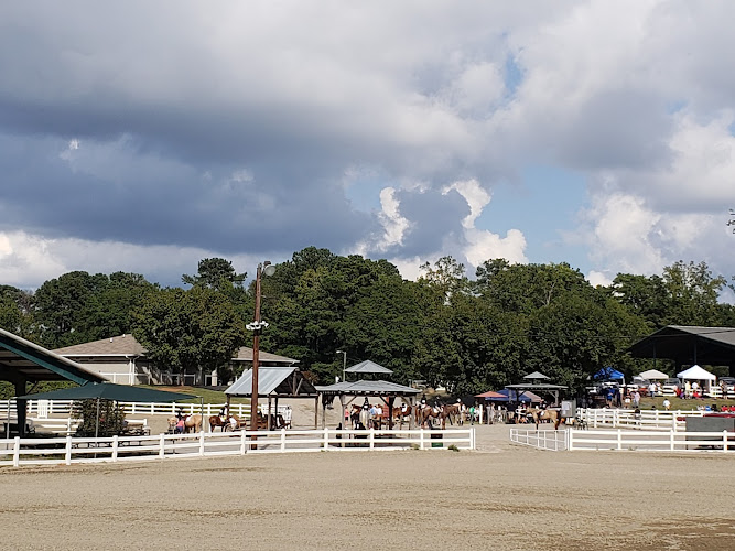 Wills Park Equestrian Center - photo