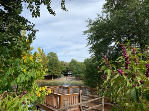 Arboretum and Pond - corporateevents.at