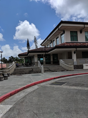 Island Brew’s The Hub — Brewery in Kaneohe, Hawaii