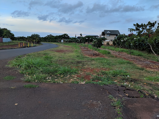 Mililani Agricultural Park - photo