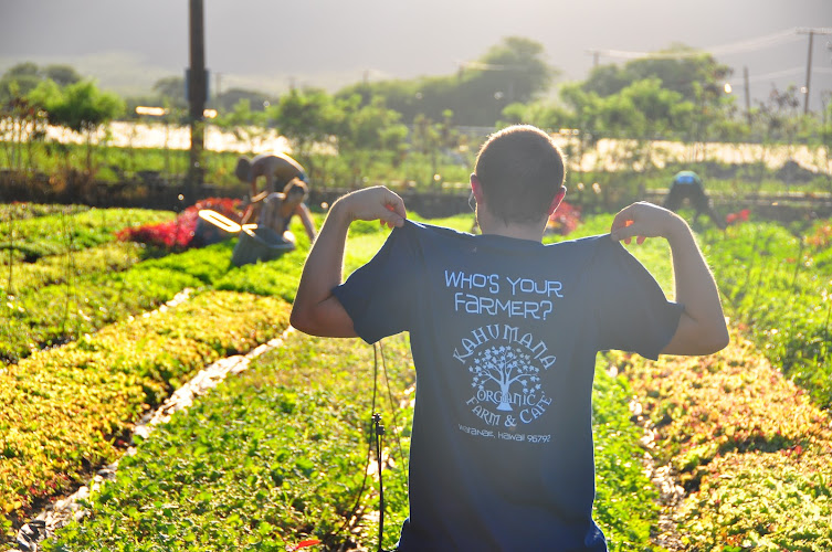 Farm Tours at Kahumana Organic Farms & Cafe — Barn or Farm in Nanakuli, Hawaii