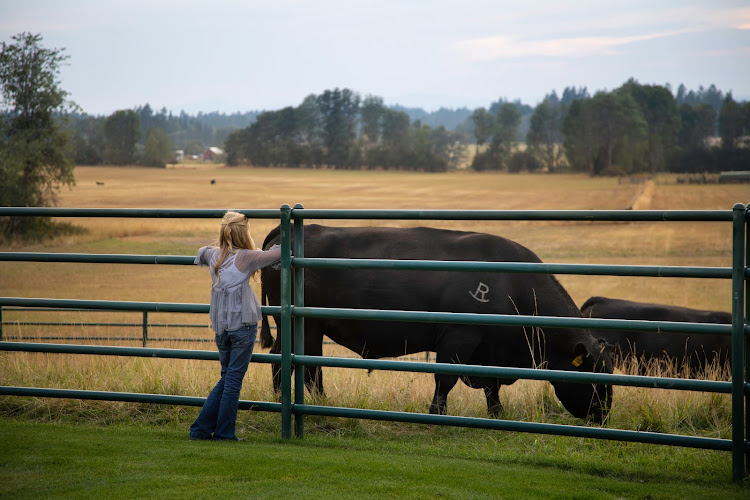Rocking R Cattle Company — Barn or Farm in Hayden, Idaho