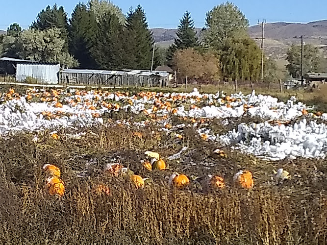Swore Farms — Barn or Farm in Pocatello, Idaho