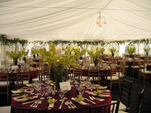 Barbara's Party Rentals - photo