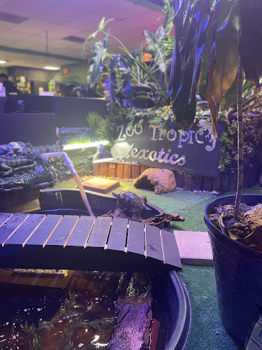 Zoo-Tropic Exotics — Zoo or Garden in Palatine, Illinois