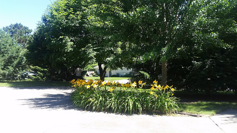 Allan Weissburg Park - corporateevents.at