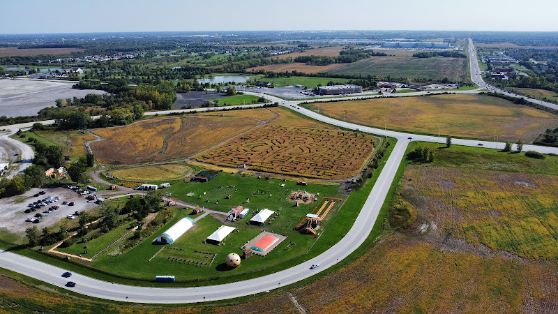 Odyssey Fun Farm: Corn Maze - corporateevents.at