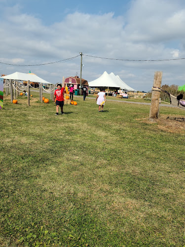 Odyssey Fun Farm - corporateevents.at