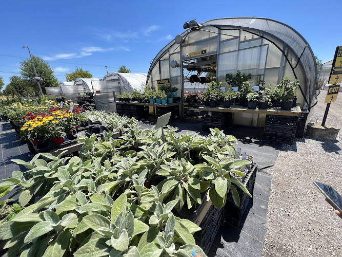 Ted's Greenhouse - corporateevents.at